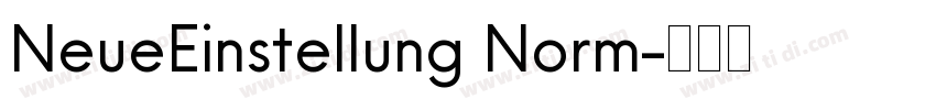 NeueEinstellung Norm字体转换